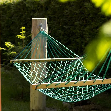 In Near Baltic Coast Kopalino