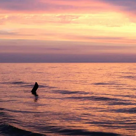 In Near Baltic Coast Dom wakacyjny *