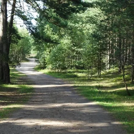 In Near Baltic Coast *