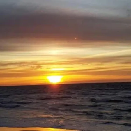 In Near Baltic Coast * Kopalino