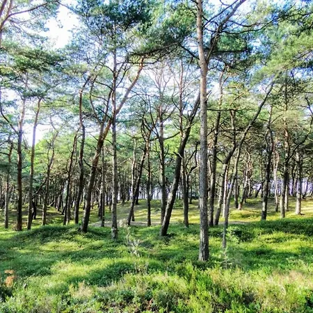 In Near Baltic Coast Dom wakacyjny