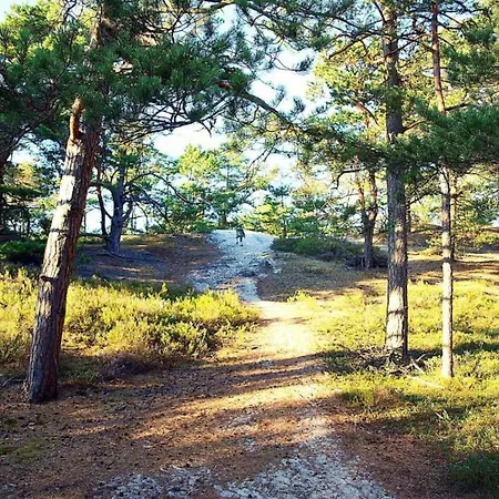 In Near Baltic Coast * Kopalino