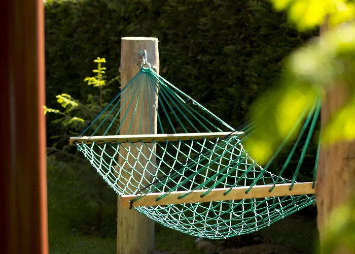 In Near Baltic Coast Kopalino