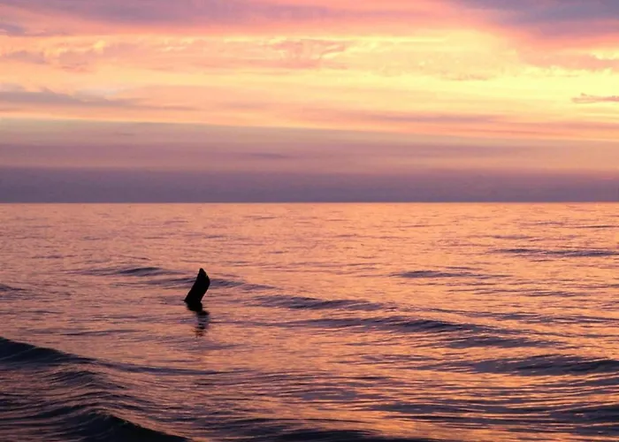 In Near Baltic Coast Сasa de vacaciones *