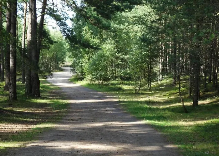 In Near Baltic Coast *