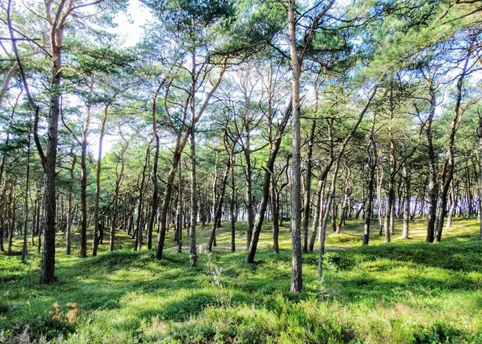 In Near Baltic Coast Сasa de vacaciones