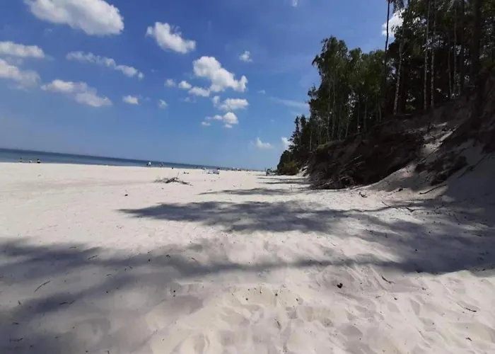 In Near Baltic Coast *