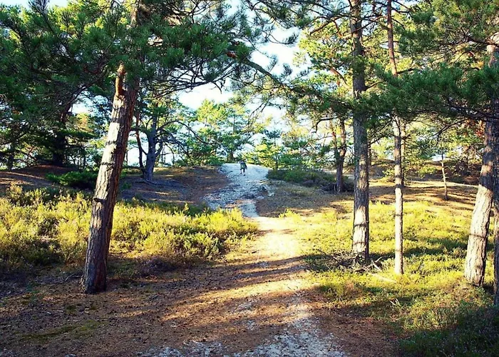 In Near Baltic Coast * Kopalino